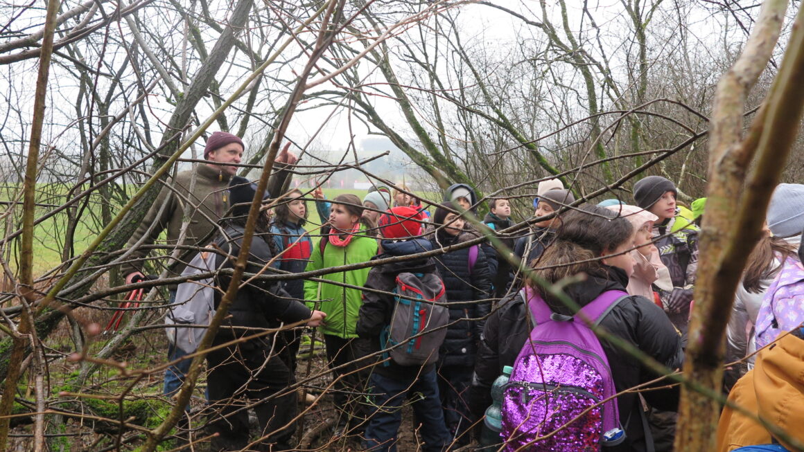 Ein aufregender Waldtag der Klasse 5b: Holzmachen, strömender Regen und jede Menge Abenteuer!