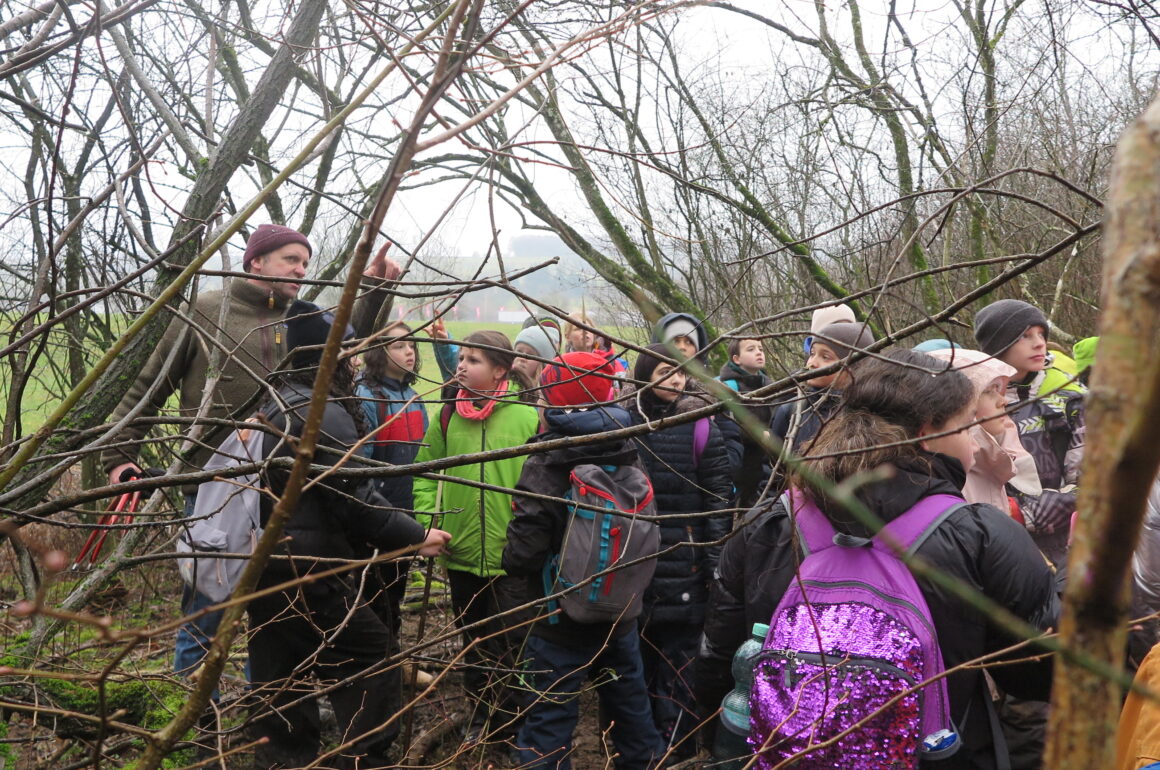 Ein aufregender Waldtag der Klasse 5b: Holzmachen, strömender Regen und jede Menge Abenteuer!