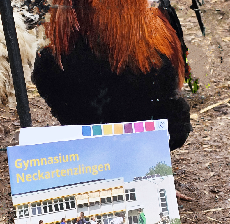 Tag der offenen Tür Tag der offenen Tür 2025