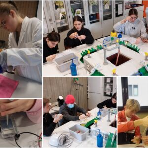 Molekularbiologisches Praktikum der JG II