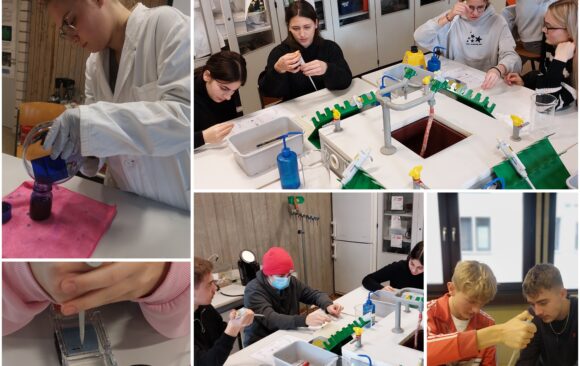 Molekularbiologisches Praktikum der JG II
