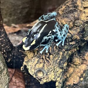 Besuch der Stufe 6 in der Wilhelma