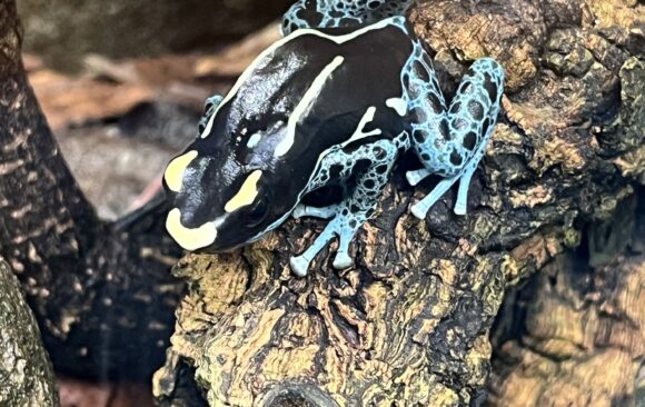 Besuch der Stufe 6 in der Wilhelma