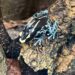 Besuch der Stufe 6 in der Wilhelma